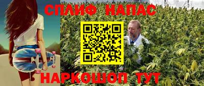 ECSTASY Канаш
