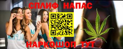 ECSTASY Канаш