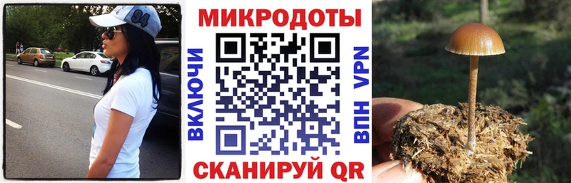 Псилоцибиновые грибы прущие грибы  OMG ТОР  Кызыл  как найти закладки 