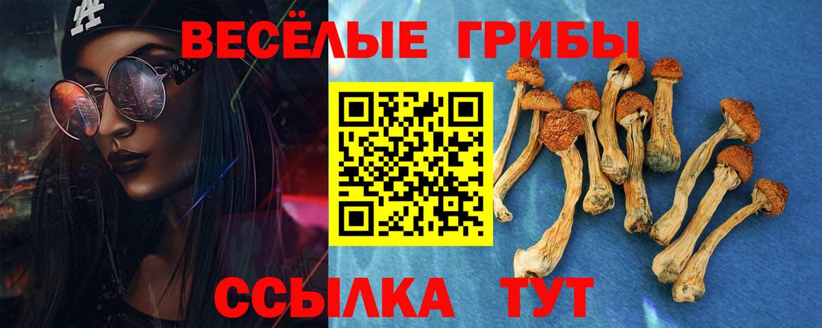 Галлюциногенные грибы Psilocybe  Вход с VPN  Кызыл 