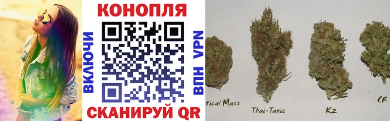 Конопля VHQ  Кызыл 